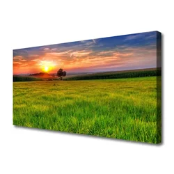tulup.si Slika na platnu Sun travnik narava 140x70 cm
