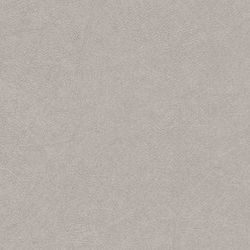 RASCH tapeta 520255