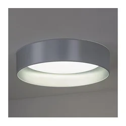 Duolla - LED plafonsko svetlo ROLLER LED/24W/230V prečnik 45 cm srebrno