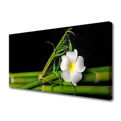 tulup.si Slika na platnu Bamboo flower rastlin 140x70 cm