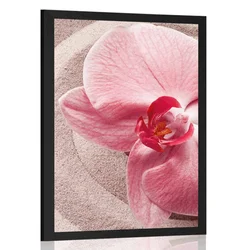 Plakat morski pesek in rožnata orhideja - 40x60 no frame