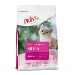 Prins | VitalCare Kitten