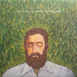 Iron and Wine Our Endless Numbered Days (Vinyl LP)