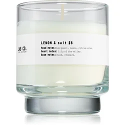 Ambientair Lab Co. Lemon & Salt dišeča sveča 200 g