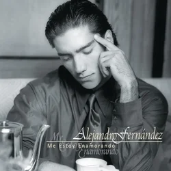 Alejandro Fernández - Me Estoy Enamorando (LP)