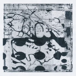 Simon Lanz & Tobias Lanz - Arches (LP)