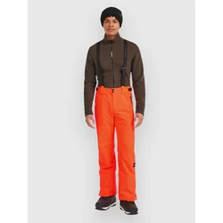 ONeill FwcCruz Suspender Bib Pants tokyo lights