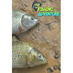 Fishing Adventure XBOX LIVE Key EUROPE