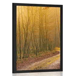 Plakat steza v gozd - 40x60 no frame