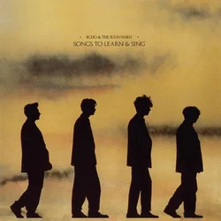 Echo & The Bunnymen - Songs To Learn & Sing (Black/Yellow Coloured) (140 g) (LP)