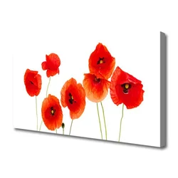 tulup.si Slika na platnu Rastlinskih mak naravi 125x50 cm