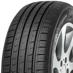 Minerva F209 ( 205/55 R15 88V )