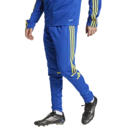 Hlače adidas SQUADRA25 TR PNT