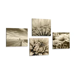 Set slik polje rož v sepia varianti - 4x 40x40