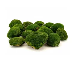 Mah oblakasti Nature green - 1 kos