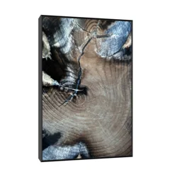 Canvas Slika na platnu Fosilizovano drvo Fruška gora, Sa ramom, 80 x 120 cm, Crni
