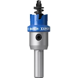 Bosch Kruna za lim sa osovinom Expert 2608901973, 17mm