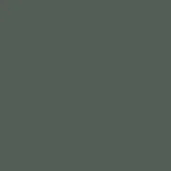 25737MN IVERAL VERDE 19mm