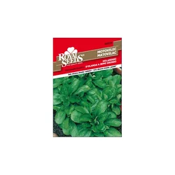 SEME ROYAL SEEDS 230 Motovilec Holandski