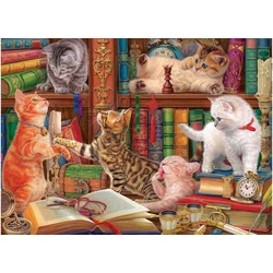 EuroGraphics Cat Library Puzzle 1000 kosov