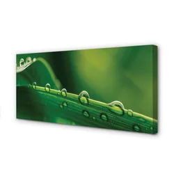 tulup.si Slika na platnu Kapljice trave makro 120x60 cm