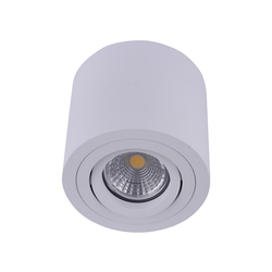 Emithor 48606 - Plafonska spot svetiljka SURFACE 1xGU10/50W/230V