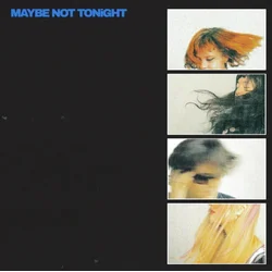 Lime Garden - Maybe Not Tonight (CD)