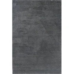 eoshop Preproga Labrador 71351-100 temno siva (Varianta: 80x150 cm)