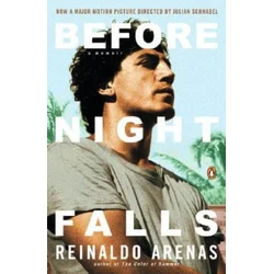 Before Night Falls