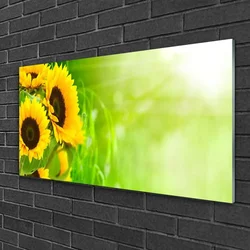 tulup.si Steklena slika Rastlinski sončnice 100x50 cm 4 obešalnika