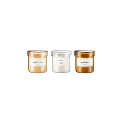 Dišeča sojina sveča Blomus VALOA S 3-pack