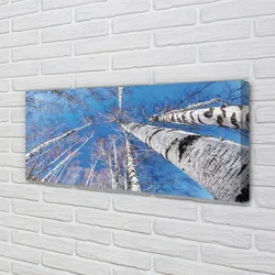 tulup.si Slika na platnu Breza nebo 140x70 cm