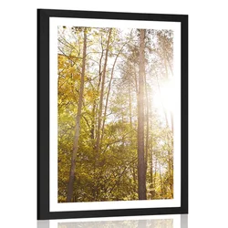 Plakat s paspartujem gozd v jesenskih barvah - 30x45 silver