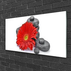 tulup.si Slika na steklu Red gerbera rože 120x60 cm 2 obešalnika