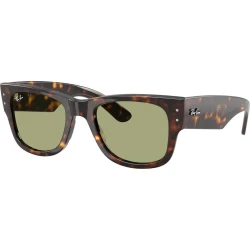 Ray-Ban RB0840S 902/4E