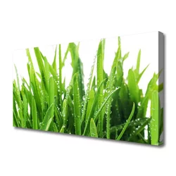 tulup.si Slika na platnu Travnate bilke 100x50 cm