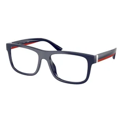 Polo Ralph Lauren PH2290U 5620