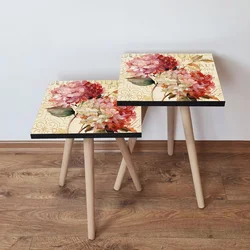 Hanah Home Set klub stočića 2Shp304, 2 komada, Šareni