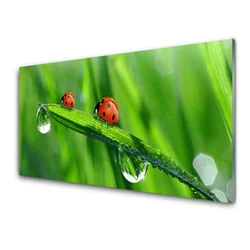 tulup.si Slika na steklu Pikapolonica grass drops 140x70 cm 2 obešalnika