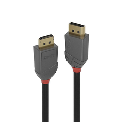 Lindy Lindy 10M Displayport 1.2 kabel,