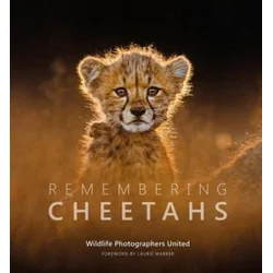 Remembering Cheetahs