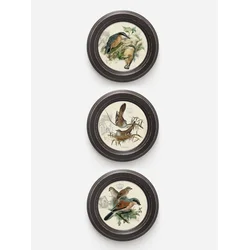 Home Gallery Set od 3 mini slike Ptice 17.5cm