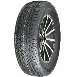 Royal Winter HP ( 205/55 R16 91H )