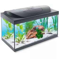 TETRA LED akvarijum Capt’n Sharky, 54l