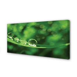 tulup.si Slika na platnu Voda pade makro 100x50 cm