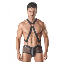 Axel Harness 1