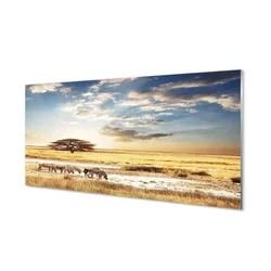 tulup.si Steklena slika Zebra oblaki drevo 120x60 cm 2 obešalnika