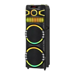 NDR Bluetooth zvučnik NDR-M22003, 100W, 2x12, 2 mikrofona, Crni