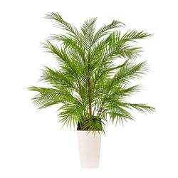 Visokokakovostna umetna rastlina areka 150 cm