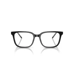 Emporio Armani Naočare EA 3258 5017